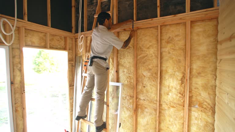 Eco-Friendly or Green Insulation Solutions in Freeland, MI